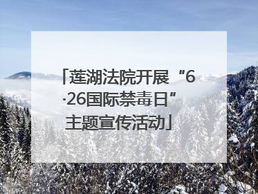 莲湖法院开展“6·26国际禁毒日”主题宣传活动
