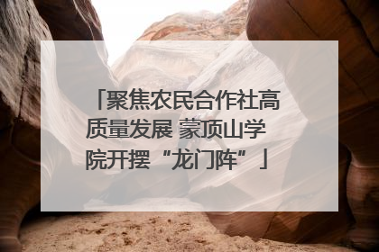 聚焦农民合作社高质量发展 蒙顶山学院开摆“龙门阵”