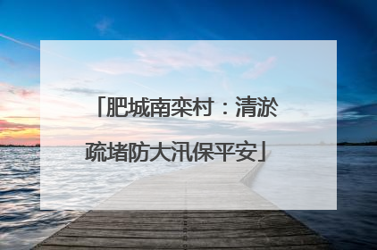 肥城南栾村：清淤疏堵防大汛保平安