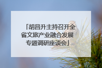 胡昌升主持召开全省文旅产业融合发展专题调研座谈会