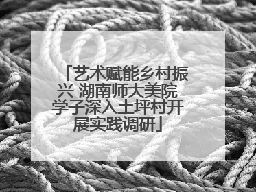 艺术赋能乡村振兴 湖南师大美院学子深入土坪村开展实践调研