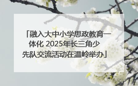 融入大中小学思政教育一体化 2025年长三角少先队交流活动在温岭举办