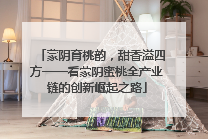 蒙阴育桃韵，甜香溢四方——看蒙阴蜜桃全产业链的创新崛起之路