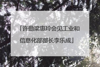 许勤梁惠玲会见工业和信息化部部长李乐成