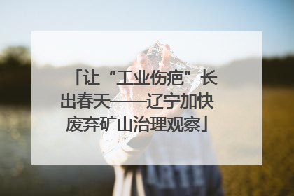 让“工业伤疤”长出春天——辽宁加快废弃矿山治理观察