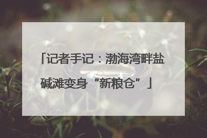 记者手记：渤海湾畔盐碱滩变身“新粮仓”