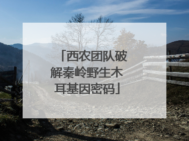 西农团队破解秦岭野生木耳基因密码