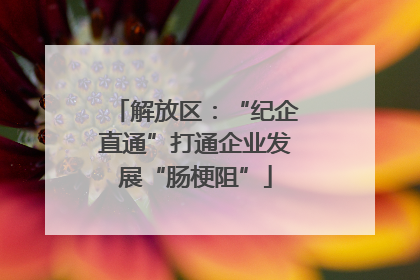 解放区：“纪企直通”打通企业发展“肠梗阻”