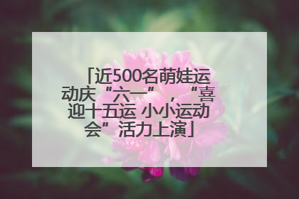 近500名萌娃运动庆“六一”，“喜迎十五运 小小运动会”活力上演