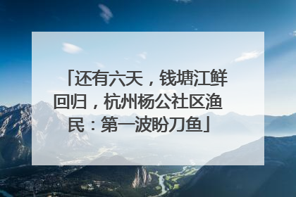 还有六天，钱塘江鲜回归，杭州杨公社区渔民：第一波盼刀鱼