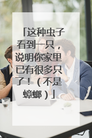 这种虫子看到一只，说明你家里已有很多只了！（不是蟑螂）