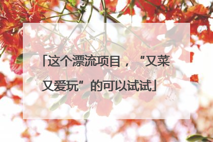 这个漂流项目，“又菜又爱玩”的可以试试