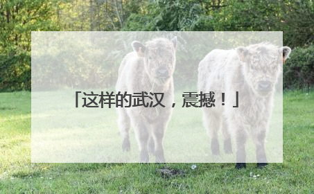这样的武汉，震撼！