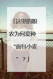 这里的粮农为何爱种“面包小麦”？