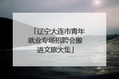 辽宁大连市青年就业专场招聘会搬进文旅大集