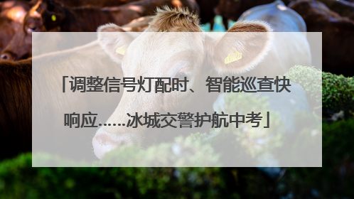 调整信号灯配时、智能巡查快响应……冰城交警护航中考