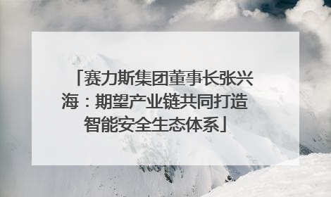 赛力斯集团董事长张兴海：期望产业链共同打造智能安全生态体系