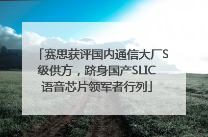 赛思获评国内通信大厂S级供方，跻身国产SLIC语音芯片领军者行列