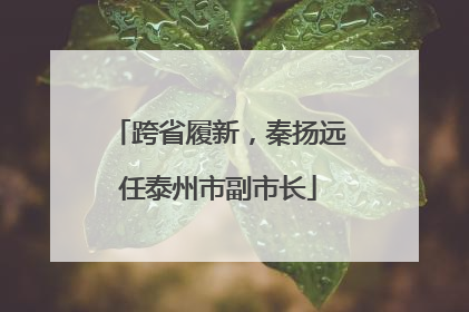 跨省履新，秦扬远任泰州市副市长