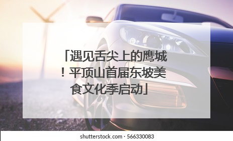 遇见舌尖上的鹰城！平顶山首届东坡美食文化季启动