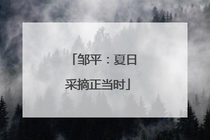 邹平：夏日采摘正当时