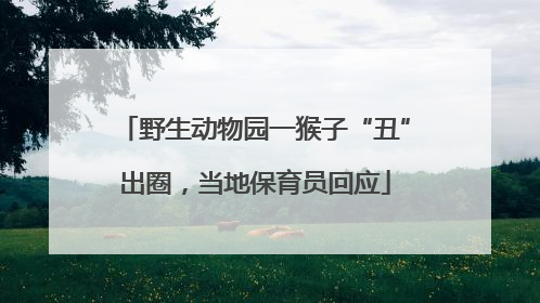 野生动物园一猴子“丑”出圈，当地保育员回应