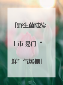 野生菌陆续上市 易门“鲜”气爆棚