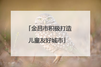 金昌市积极打造儿童友好城市