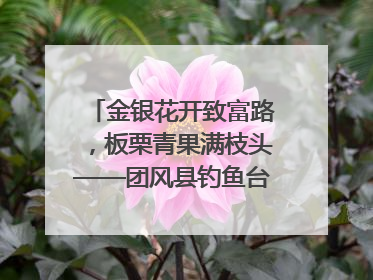 金银花开致富路，板栗青果满枝头——团风县钓鱼台村“山水生金”谱写共富新篇章