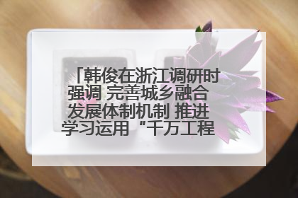 韩俊在浙江调研时强调 完善城乡融合发展体制机制 推进学习运用“千万工程”经验走深走实