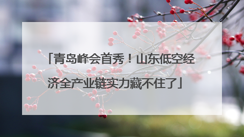 青岛峰会首秀！山东低空经济全产业链实力藏不住了