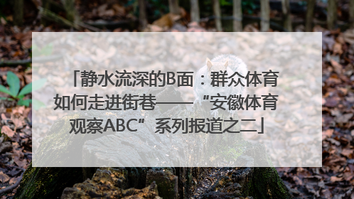 静水流深的B面：群众体育如何走进街巷——“安徽体育观察ABC”系列报道之二