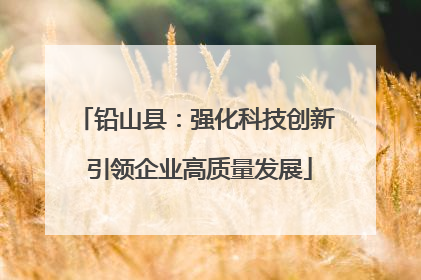 铅山县：强化科技创新 引领企业高质量发展