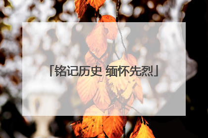 铭记历史 缅怀先烈