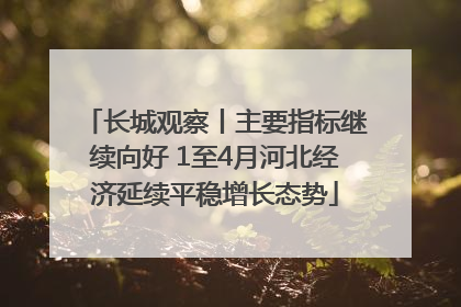长城观察丨主要指标继续向好 1至4月河北经济延续平稳增长态势