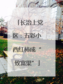 长治上党区：五彩小西红柿成“致富果”