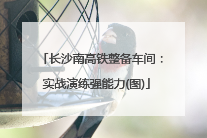 长沙南高铁整备车间：实战演练强能力(图)