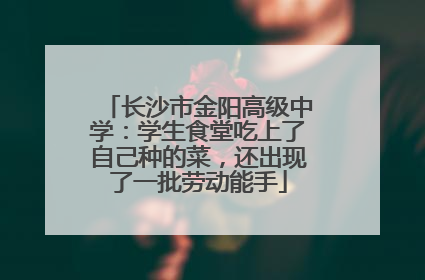 长沙市金阳高级中学：学生食堂吃上了自己种的菜，还出现了一批劳动能手