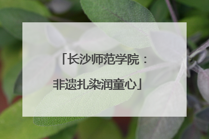长沙师范学院：非遗扎染润童心