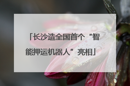 长沙造全国首个“智能押运机器人”亮相