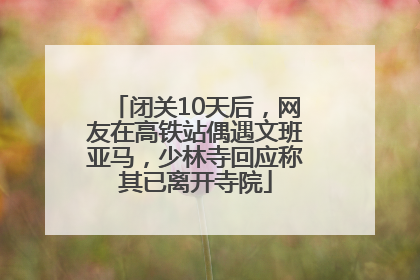 闭关10天后，网友在高铁站偶遇文班亚马，少林寺回应称其已离开寺院