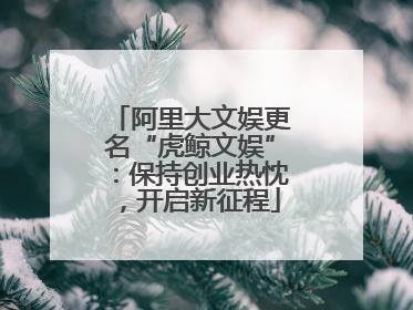 阿里大文娱更名“虎鲸文娱”：保持创业热忱，开启新征程