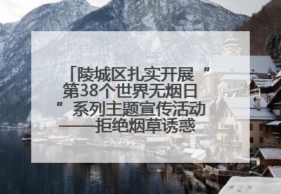 陵城区扎实开展“第38个世界无烟日”系列主题宣传活动——拒绝烟草诱惑 对第一支烟说不