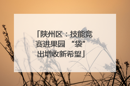 陕州区：技能竞赛进果园 “袋”出增收新希望