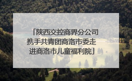 陕西交控商界分公司携手共青团商洛市委走进商洛市儿童福利院