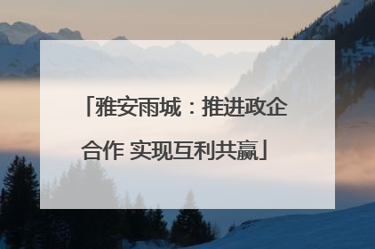 雅安雨城：推进政企合作 实现互利共赢