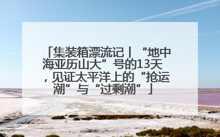 集装箱漂流记丨“地中海亚历山大”号的13天，见证太平洋上的“抢运潮”与“过剩潮”