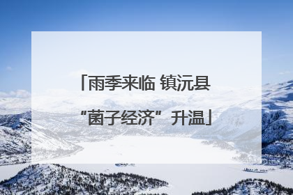 雨季来临 镇沅县“菌子经济”升温