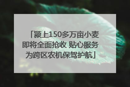 颍上150多万亩小麦即将全面抢收 贴心服务为跨区农机保驾护航