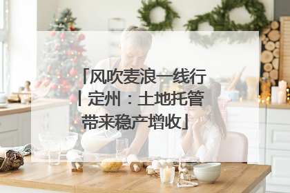 风吹麦浪一线行丨定州：土地托管带来稳产增收